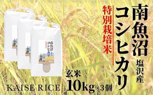 
南魚沼産塩沢コシヒカリ【従来品種】（特別栽培米８割減農薬）玄米１０ｋｇ×３個
