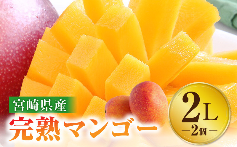 
宮崎特産品　宮崎県産完熟マンゴー　2L×2個_M275-001
