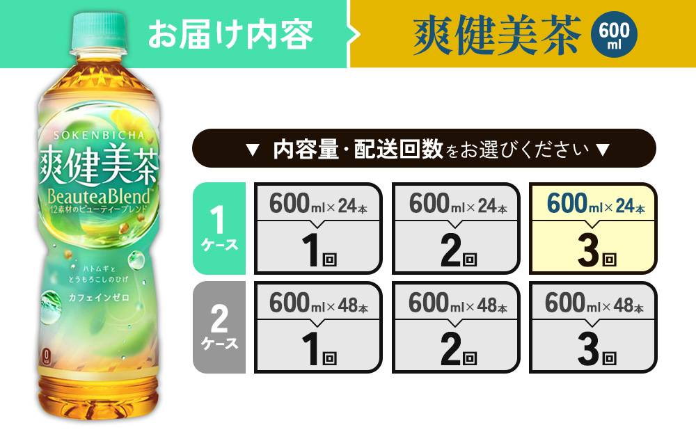 （3回定期便）爽健美茶 600ml PET【コカ・コーラ】ペットボトル 1ケース(24本) 定期便 3回(72本) セット お茶 カフェインゼロ ノンカフェイン ハトムギ ブレンド茶 宮崎県 えびの市 送料無料