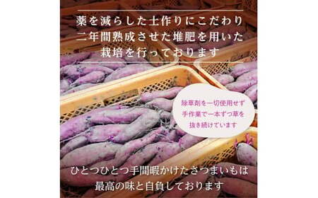 【1月発送】茨城県産【干し芋／さつまいも鬼澤】紅はるか　たっぷり5kg