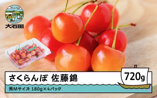 
             さくらんぼ 佐藤錦 秀Mサイズ 720g (180g×4パック) フードパック 2026年産 令和8年産 山形県産 ふるさと納税 果物 くだもの フルーツ 期間限定 冷蔵配送 先行受付 グルメ 取り寄せ ご当地 特産 産地 直送 送料無料 東北 山形県 人気山形県産 ns-snsmp800
          