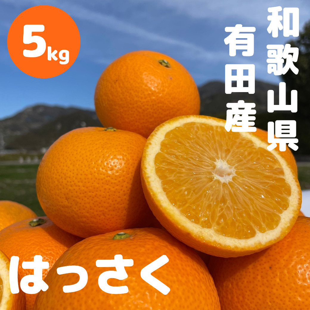 和歌山 有田 はっさく 5kg DJ065