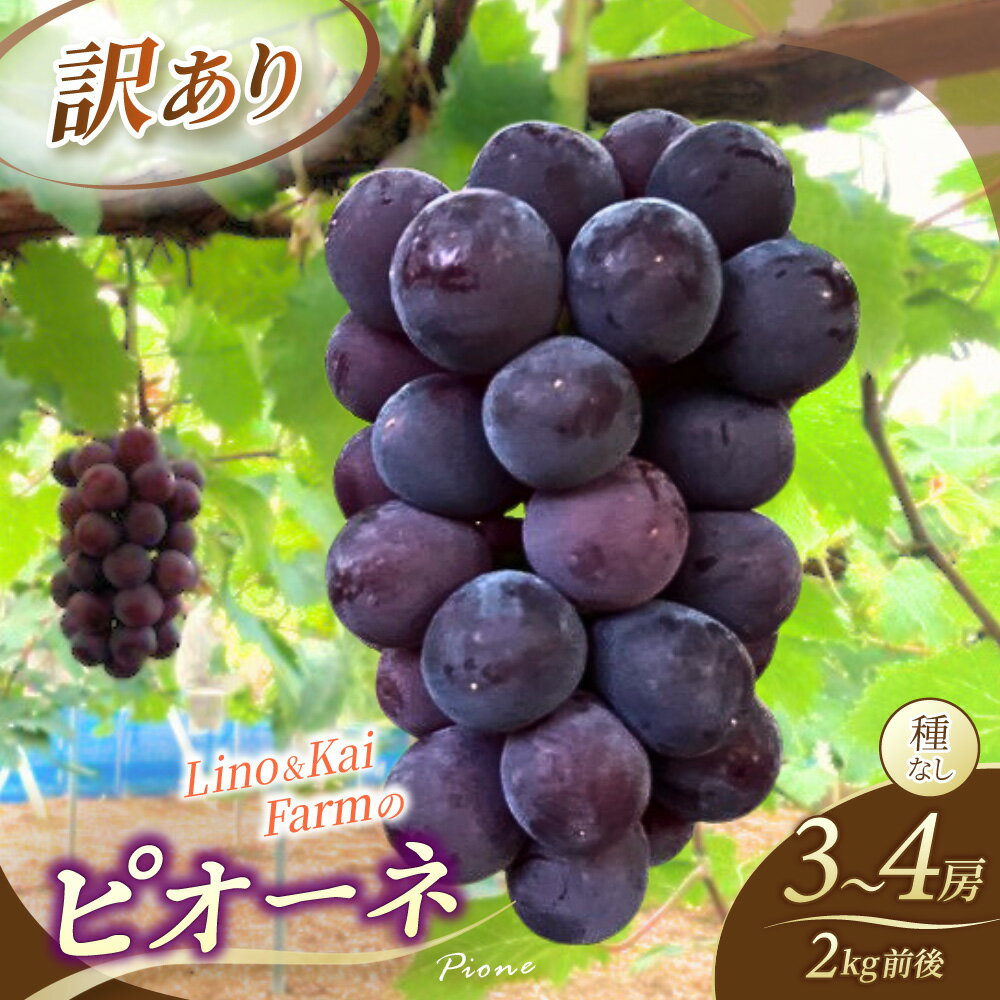 【ふるさと納税】 【2026年先行予約】【訳あり】 岡山の ニューピオーネ 3房～4房 (2kg前後 化粧箱入) Lino＆Kai Farm ぶどう 岡山 真庭市 ピオーネ 訳あり品 果物 人気 産地直送 数量限定 【linokai014-01】