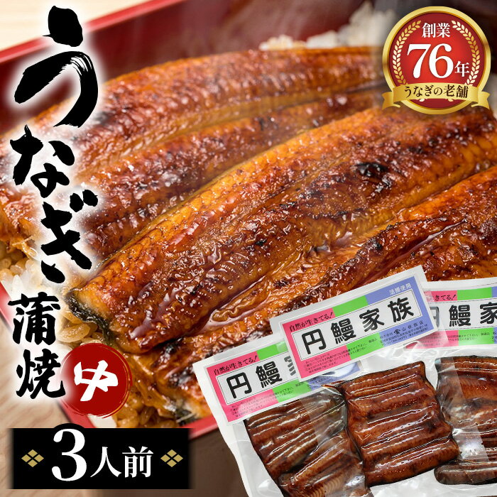 【ふるさと納税】 うなぎ蒲焼（中）3人前 ／ 鰻 タレ 老舗 送料無料 宮城県 No.098