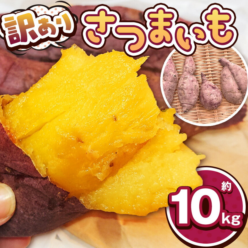 【ふるさと納税】【先行予約】訳あり下野市産さつまいも 10kg | さつまいも 芋 さつまいもご飯 炊き込みご飯 スイートポテト 大学芋 栗きんとん 焼き芋 ホクホク 秋 サツマイモ さつま芋 薩摩芋 サツマ芋 秋野菜 食欲の秋 秋の味覚 送料無料 訳あり 大容量 栃木県 下野市