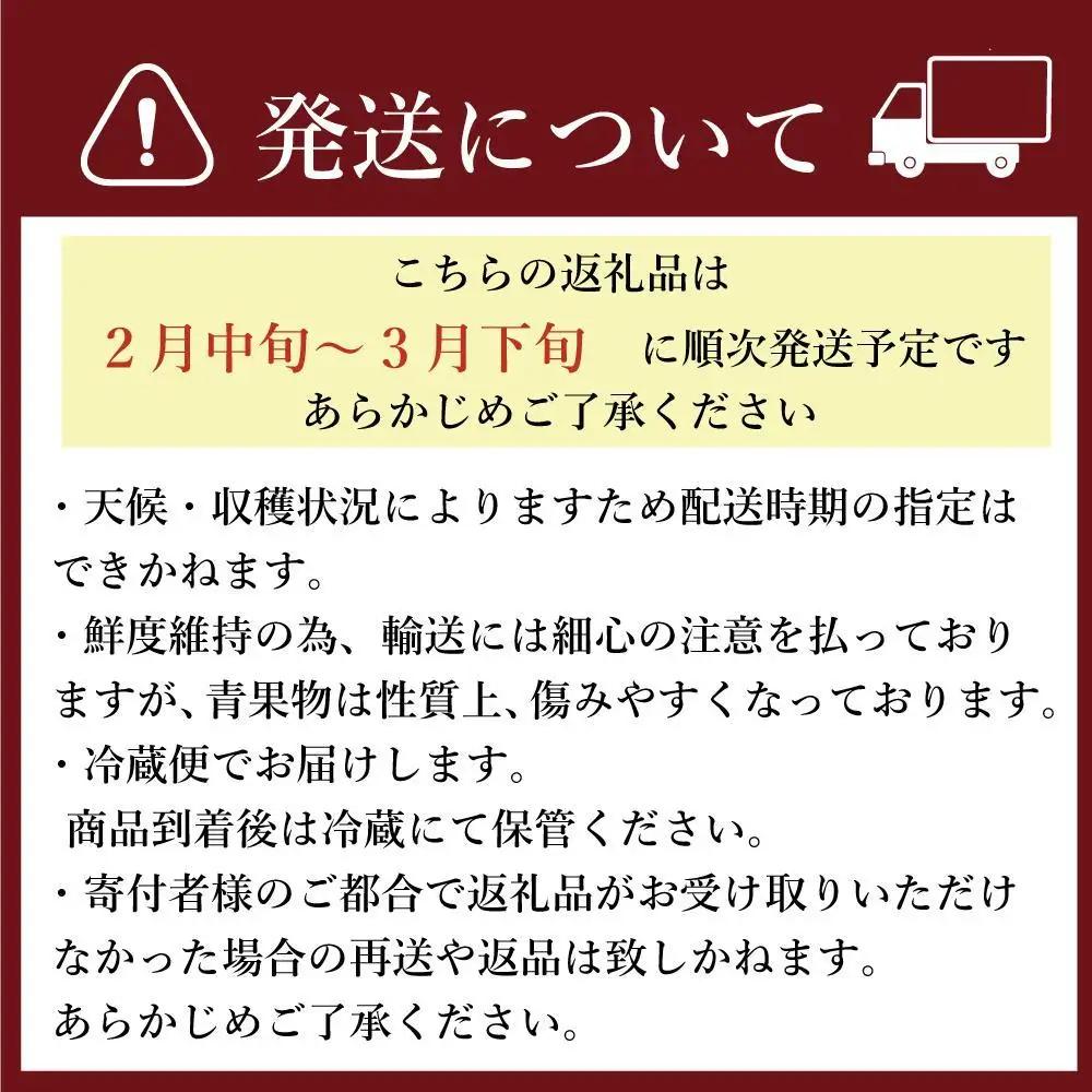 ★先行予約★いちごの王様 福岡県産博多あまおう250g×4パック【2027年2月中旬～3月順次出荷予定】