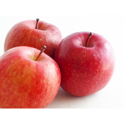 【ふるさと納税】家庭用【2026年発送】長野県産 りんご　秋映(あきばえ)　約1.5kg(3～5玉)【1576290】