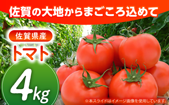 佐賀県産 トマト 4kg 【JAさが】 [NCR004]