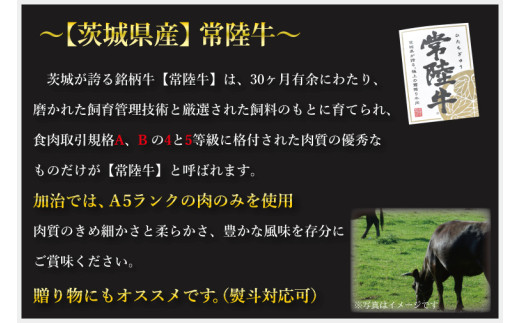 【常陸牛 A5ランク・ローズポークステーキセット】常陸牛サーロインステーキ300g＋ローズポークロースステーキ280g（140g×２枚） 冷凍 国産牛 和牛 牛肉 豚肉　ブランド豚 茨城県 水戸市 食