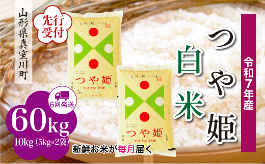 
            ＜令和7年産米先行受付＞ 真室川町産 特別栽培米 つや姫 【白米】 定期便 60kg （10kg×1ヶ月間隔で6回お届け）＜配送時期指定可＞
          