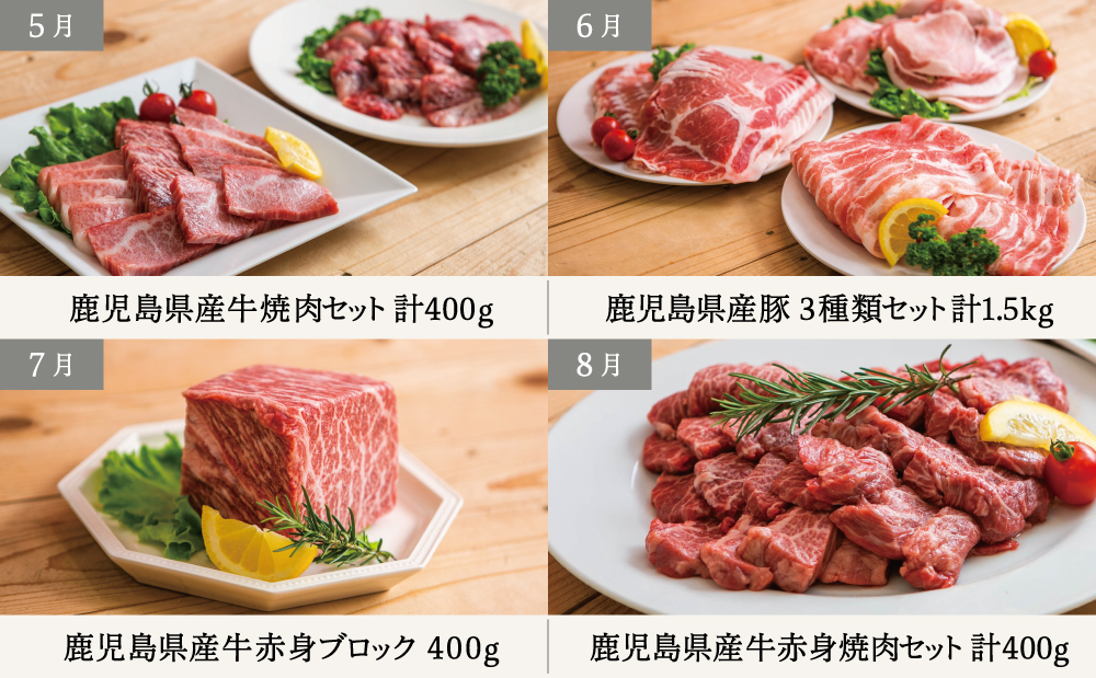 【定期便 全12回】情熱牧場 鹿児島県産お肉の定期便 スタンダードコース お肉 ステーキ すき焼き しゃぶしゃぶ A5等級 黒毛和牛 牛肉 豚肉 焼肉 定期便 冷凍 カミチク 南さつま市