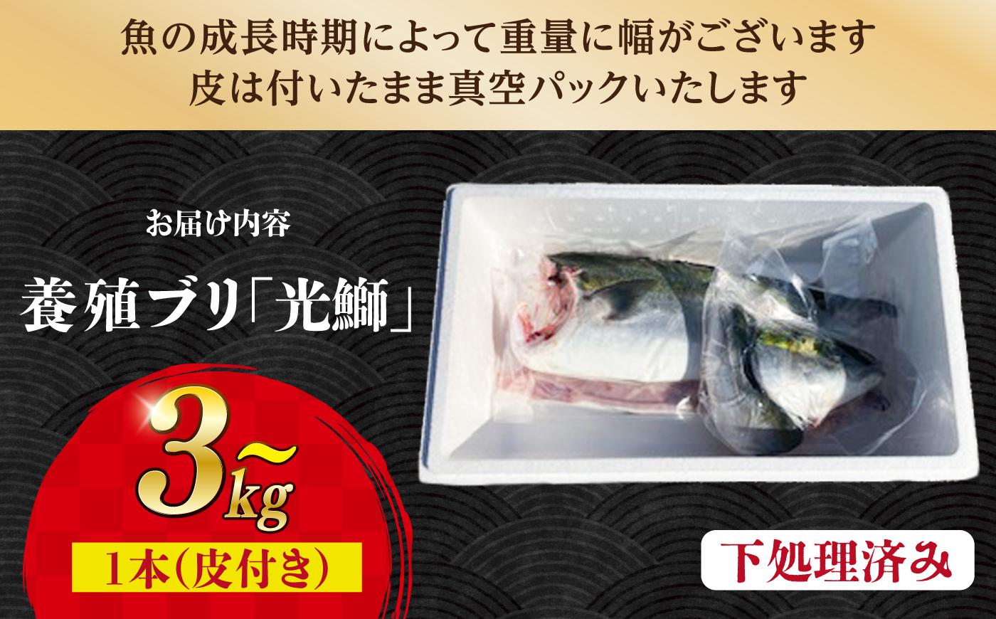 【呼子ノ瀬戸名物】養殖ブリ「光鰤」1本 皮付き 約3kg～＜小山水産＞ [CDZ006]