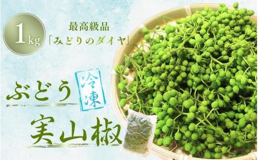 
             冷凍 ぶどう 生実山椒 1kg (1kg×1袋) / 山椒 さんしょう 香辛料 調味料 薬味 冷凍 ぶどう山椒 生山椒 和歌山県 紀美野町 生実山椒【twn025】
          