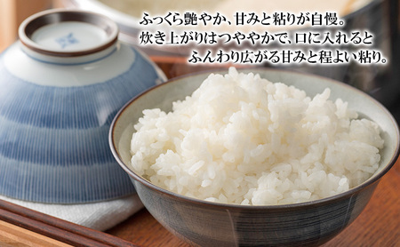 三重県津市産　コシヒカリ　20kg | 精米 白米 ご飯 津市 三重県