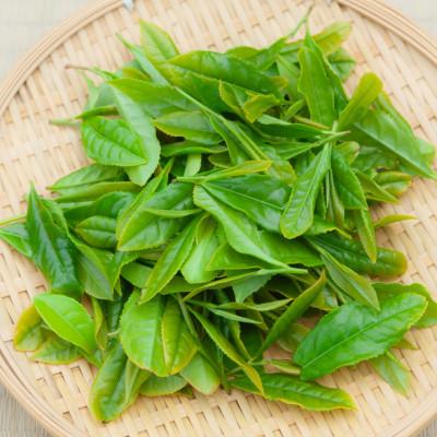 ふるさと納税 名護市 令和7年産 JAおきなわ 呉我銘茶 200g×2袋 |  | 02