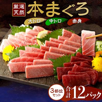 ふるさと納税 室戸市 お刺身ちょこっとパック　食べ比べ12パック【水産事業者支援・規格外・訳あり】 中トロ 大トロ セット