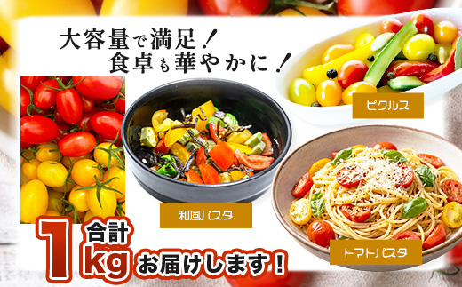 岩永さんちの カラフル ミニトマト | アイコ赤･黄MIX 1kg |【農林水産大臣賞受賞】有機肥料・化学肥料不使用 | 生産者直送 野菜 トマト 1kg とまと プチトマト サラダ やさい 旬 新鮮