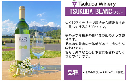 つくばワイナリー TSUKUBA BLANC ・ ROUGE & ROSE セット【お酒 葡萄 ぶどう ブドウ 茨城県産 つくば市産 ワイナリー ワイン ワイン ワイン ワイン ワイン 】