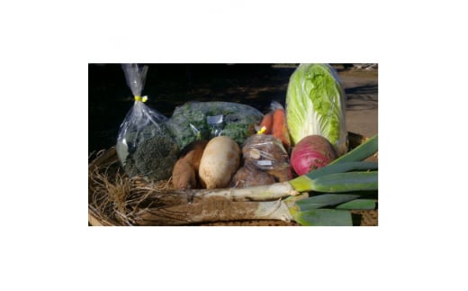 ≪畑から直送≫旬の野菜10種セット【1290013】