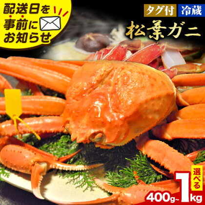＼12/23決済完了分まで年内配送／カニ 松葉ガニ タグ付き 贈答用 選べる 400g～1kg (1～2杯入り) 《2025年11月中旬-2026年3月中旬出荷予定》鳥取県 八頭町 送料無料 蟹 かに 海鮮 松葉ガニ 贈答 タグ付 冷蔵