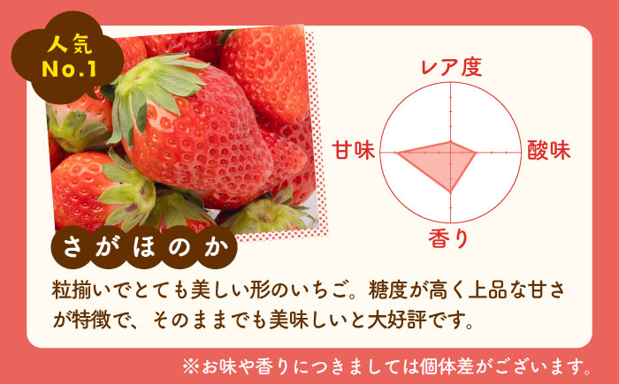 【2026年1月以降発送】【農家直送】【化粧箱入り】白石産いちご「さがほのか」400g【岸川農園】イチゴ [IAP003]