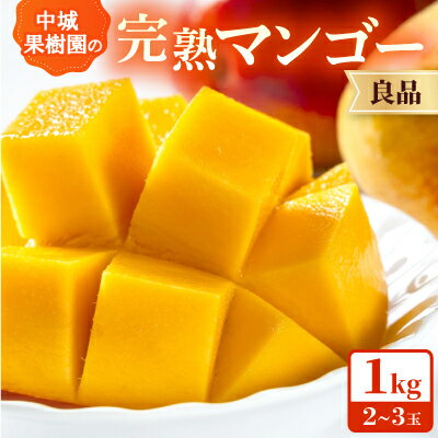 【ふるさと納税】【2026年7月から順次発送・白箱】中城果樹園の完熟アップルマンゴー 良品1.0kg(2～3玉)【配送不可地域：離島】【1730473】