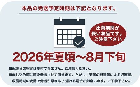 旬最終！シャキッと固い桃　山梨の桃　約2kg　シーズン最後の山梨県民の大好きな固い品種【tab0182】