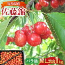【ふるさと納税】さくらんぼ ＜佐藤幸男農園＞ 佐藤錦 ML混合 1kg バラ詰 F7X-0220