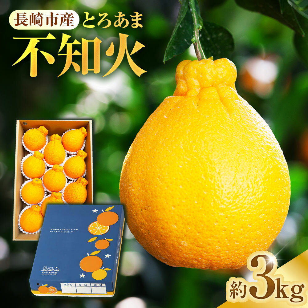 【ふるさと納税】先行予約！ 不知火 約3kgセット | 季節限定 しらぬい 果物 くだもの フルーツ みかん ミカン 柑橘 完熟 ハウス栽培 アフター保証 オンライン決済限定 【2026年3月上旬～下旬迄発送予定】