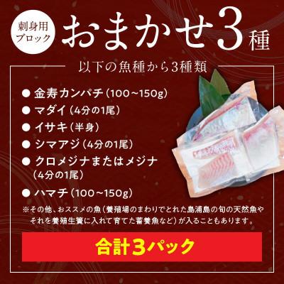 ふるさと納税 延岡市 おまかせ3魚種 刺身用ブロックセット 計3パック(2〜3人前) |  | 01