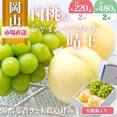 【2025年発送】岡山県産　詰合せ/白桃とシャインマスカット『晴王』 化粧箱入り【配送不可地域：離島・北海道・沖縄県】【1281366】