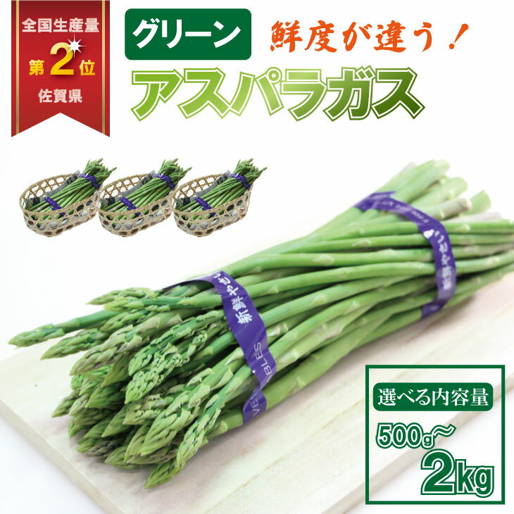 【ふるさと納税】【先行ご予約受付】【選べる内容量】採れたて新鮮！アスパラガス（500g・1kg・2kg）百島農園 生産者直送 野菜 送料無料 人気 ランキング 高評価 佐賀【A060-005】