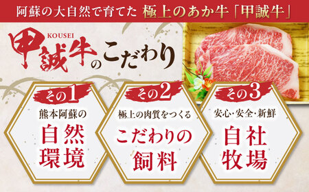 【全12回定期便】熊本県産 あか牛 サーロインステーキセット 計400g ( 200g × 2枚 ) 冷凍 専用タレ付き あか牛のたれ付き 熊本和牛【有限会社 三協畜産】[YCG096]