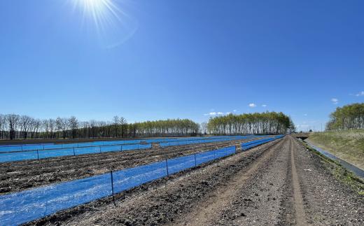 ［先行受付］北海道音更産「川野農園」のグリーンアスパラ1kg(太め2L～3L)【A66】【2026年5月中旬～6月上旬発送予定】