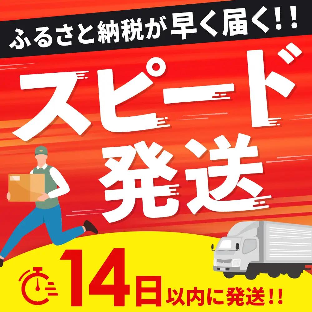 【14日以内発送！数量限定】佐賀牛入り ハンバーグ 22個 2.6kg(120g×22個)(H083106)