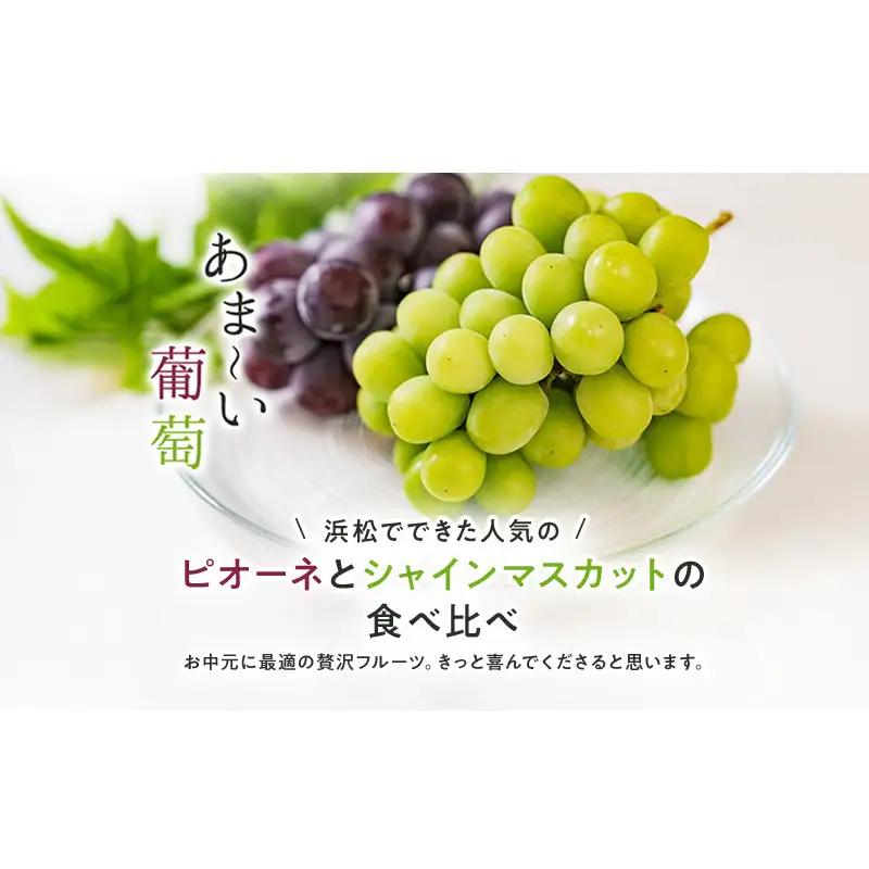 【浜松市産 JAとぴあ浜松】シャインマスカットとピオーネ 1房500g以上大房×2種 合計2房（約1kg） シャインマスカット ピオーネ ぶどう 葡萄 フルーツ プレゼント お中元 クール 静岡 浜松