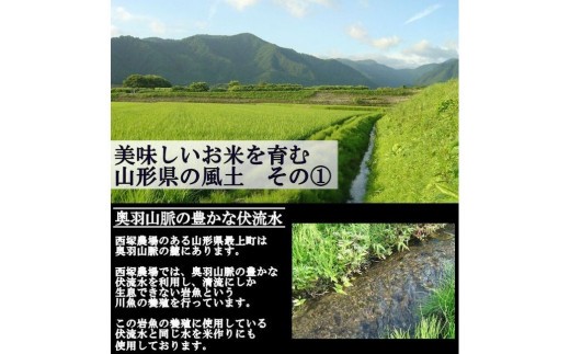 はえぬきお茶碗