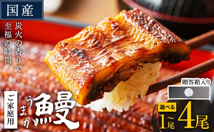 うなぎ ご家庭用 国産 ランキング 獲得 鰻 真空パック おすすめ うなぎの蒲焼 【贈答箱入り】《発送時期が選べる》 有頭 ふるさとのうぜい 鶏炭火焼 1尾 2尾 3尾 4尾 訳あり 定期便 簡易包装 不揃い 規格外 ウナギ unagi 蒲焼 秋 冬 旬 配送時期 冷凍---mifune_lcl_1137_1p---