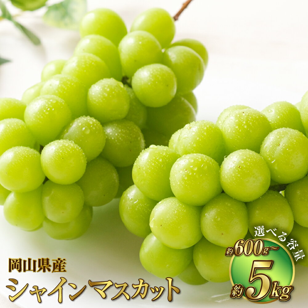 【ふるさと納税】【選べる容量】岡山県産 シャインマスカット 晴王 約600g～約5kg 果物 フルーツ くだもの ぶどう ブドウ 葡萄 マスカット 種なし 種無し 大粒 高糖度 冷蔵 国産 おかやま 岡山県 奈義町 送料無料 【2025年7月上旬～8月下旬発送予定】