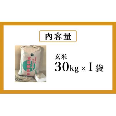ふるさと納税 石巻市 米 ひとめぼれ 玄米 30kg 令和7年産 ヒトメボレ お米 ごはん ご飯 防災減災 |  | 02