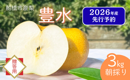 【2026年産先行予約】＜贈答用＞果汁たっぷりの極上梨「豊水・3kg」6～9玉 千葉県 船橋市産