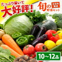 【ふるさと納税】合志の旬のお野菜セット 10〜12品【一般社団法人クラッシーノこうし】[AYAB008]