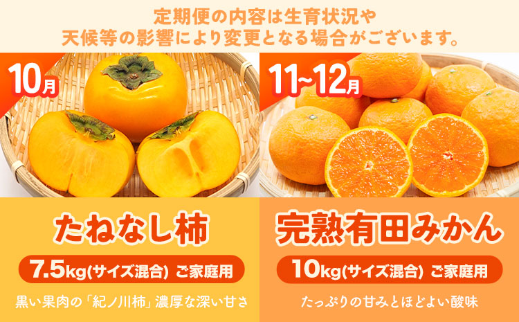 わかやま旬の フルーツ 定期便 【全4回】内容量 L 有田マルシェ《発送月固定・全4回出荷》 和歌山県 日高町 苺 いちご 柑橘 オレンジ 小玉 みかん 有田 みかん たねなし柿 柿 桃 モモ もも 