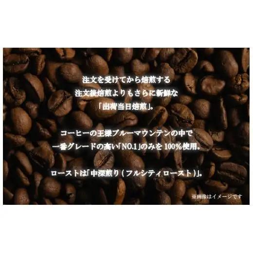 必ず出荷日に自家熟成焙煎ブルーマウンテンNo.1豆(800g)【SASEBO Coffee TOMINAGA】 人気コーヒー豆 新鮮 鮮度 抜群 コーヒー豆