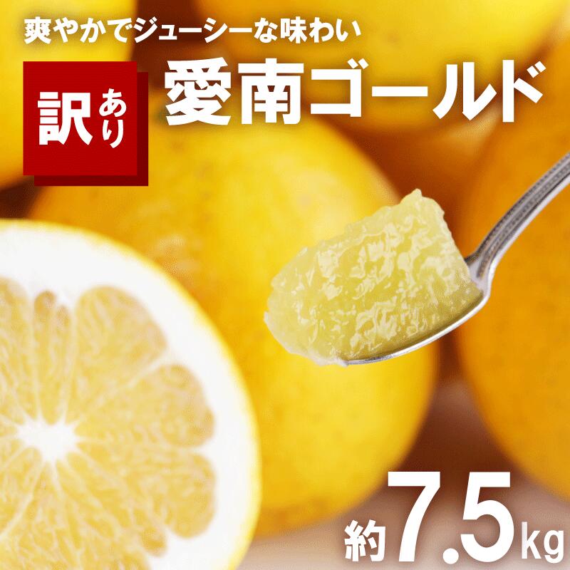 【ふるさと納税】 訳あり 河内晩柑 7.5kg サイズミックス 7000円 みかん かわちばんかん ミカン mikan わけあり 愛南ゴールド 家庭用 美生柑 文旦 派生 国産 期間限定 数量限定 特産品 人気 限定 甘い おいしい 小玉 含む 果物 柑橘 蜜柑 規格外 大樹農園 愛南町 愛媛県