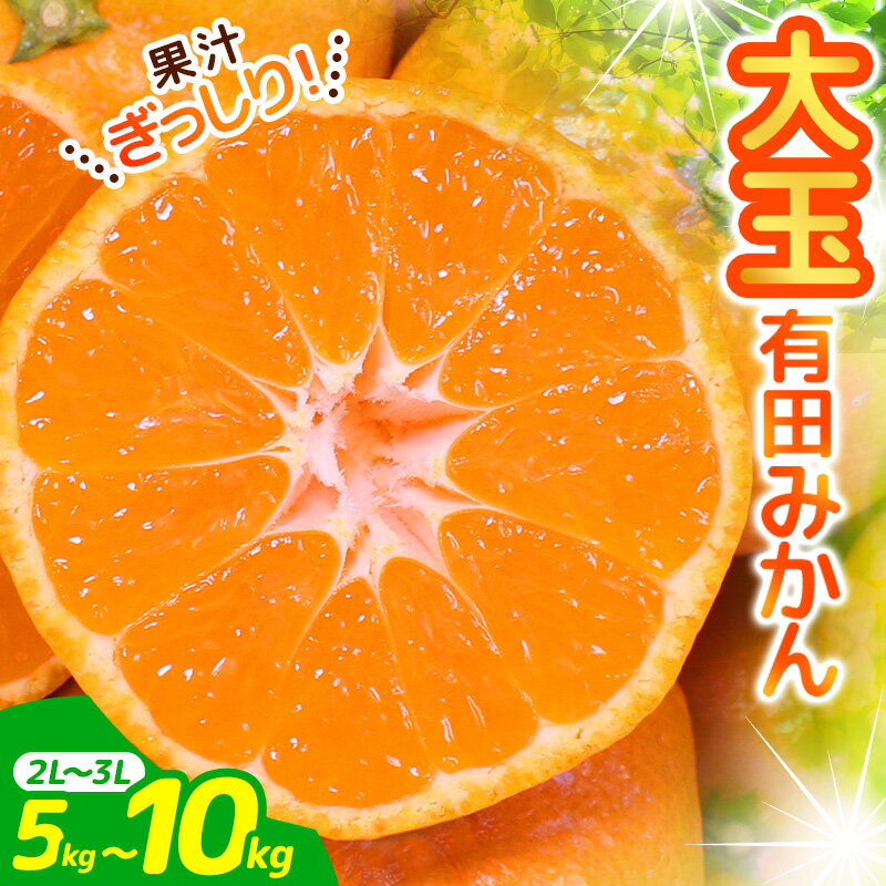 【ふるさと納税】みかんの名産地 和歌山県産 農家直送 大玉有田みかん 5kg～10kg （2L〜3L） 手選別で厳選【11月下旬〜1月中旬ごろに順次発送予定】/ みかん 有田みかん フルーツ 果物 柑橘 大玉 和歌山 産地直送 蜜柑 デザート 有田 和歌山 古座川町