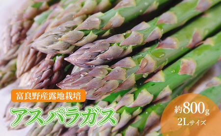 アスパラガス 富良野産 2Lサイズ 露地栽培 山本農園 アスパラガス【約800g】