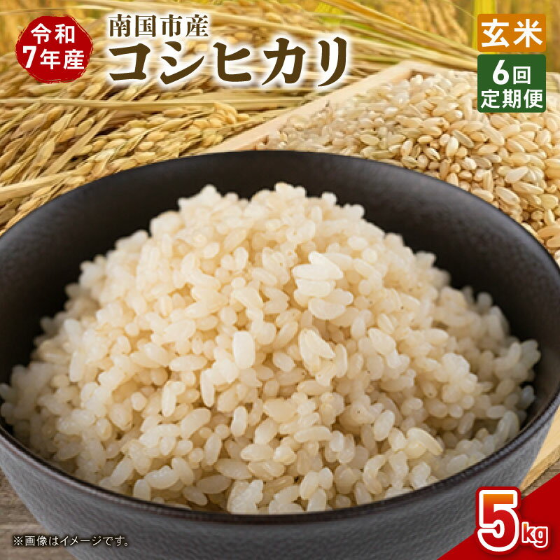 【ふるさと納税】 定期便 6ヶ月 令和7年度 南国市産 コシヒカリ 玄米 5kg 新米 期間限定 数量限定 米 コメ お米 ご飯 おにぎり こめ 弁当 高知県 南国市
