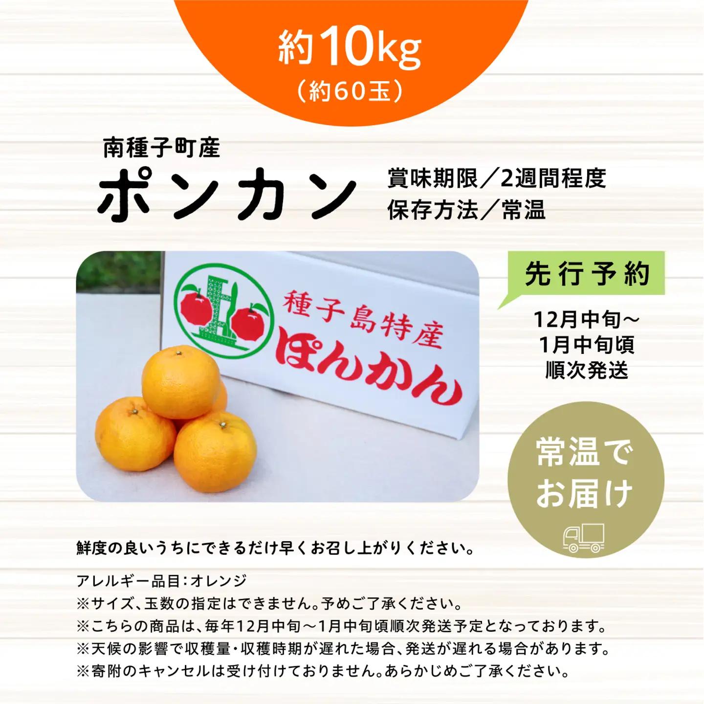 《 先行予約 》種子島産 ポンカン 約10kg （約60玉）【12月中旬頃～1月中旬頃順次発送 】【南種子町果樹部会】