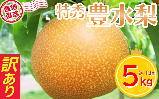 
                  【ご家庭用】豊水梨　5kg箱詰め　【04301-1074】 訳あり 訳アリ ナシ 梨 なし
                